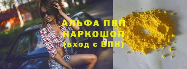 СК Белокуриха