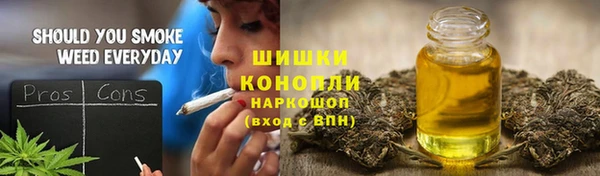 ПСИЛОЦИБИНОВЫЕ ГРИБЫ Белоозёрский