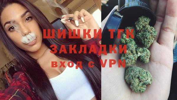 СК Белокуриха